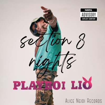 Section 8 Nights - Single