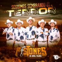 Seguimos Sembrando El Terror - Los Pistones De Uriel Valdez