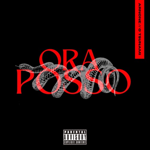 Ora Posso (feat. O'Tsunami) - Single