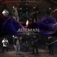 La Plebada Belica / Tolin Infante (En vivo) - Single - Grupo Ademan