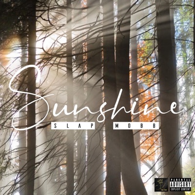 Sunshine (feat. Yung Shife & LBurnna) - Single