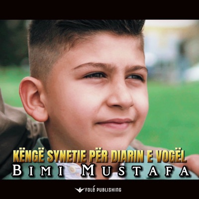 Këngë Synetie për Diarin e vogël - Single