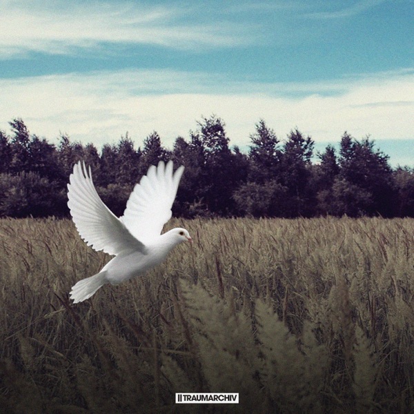 Sentido - Single