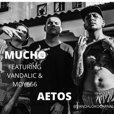 MUCHO (feat. VANDALIC & moy666) - Single