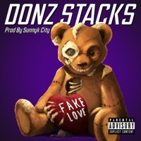 Fake Love - Single - Donz Stacks