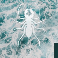 the color ruby - Single - .strife