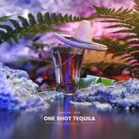 One Shot - Single - Sandjake & Zeper
