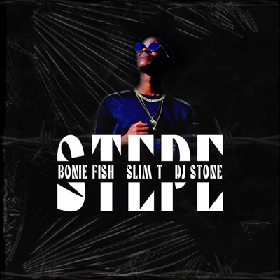 Stepe (feat. SlimT) [Dj Stone Remix] - Single