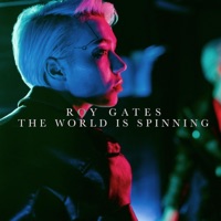 The World Is Spinning - Roy Gates