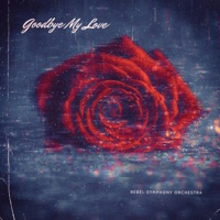 Goodbye My Love - Single - Rebel Symphony Orchestra