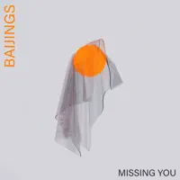 Missing U — Baijings