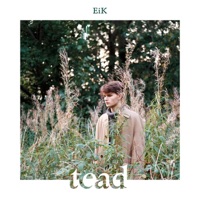 TEAD (feat. Maris Pihlap & Mattias Tirmaste) - Single - EiK 2509