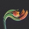Delirium - Single