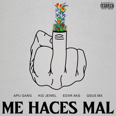 Me Haces Mal (feat. Edxr Aks) - Single