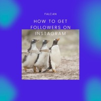 How to Get Followers on Instagram - Single - Falcan