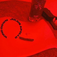 Wind Down - Single - Julius Appollo