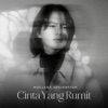 Cinta Yang Rumit - Single