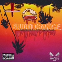BLUDD ORANGE (feat. KING DA LOC 167) - Single - Neighbors AVE-167