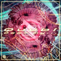 Dear My... - Single - Quubi