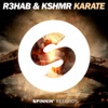 R3HAB & KSHMR