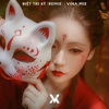 Vina Mix - Biệt Tri Kỷ ( Remix) artwork