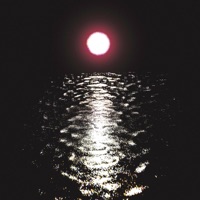 Moonrise - Single - Hotel Pools