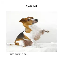 Sam (Unabridged)