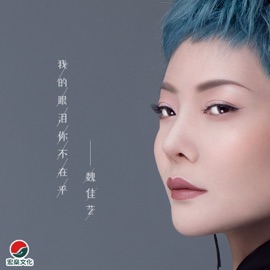 我的眼泪你不在乎 Wei Jia Yi