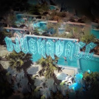 Djuskavacc - Single - Desingerica & Pljugica