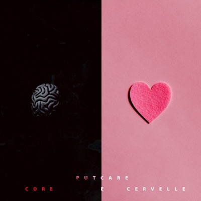 Core E Cervelle - Single