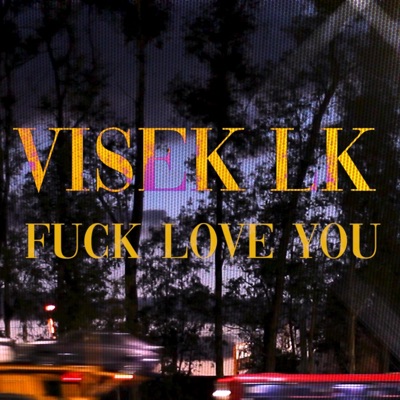 Fuck/Love You (VisekLk) - Single