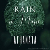 Rain and Birds (Calming Music) artwork