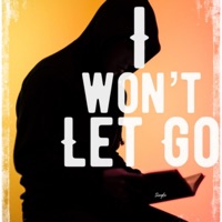 I Won't Let Go - Single - Aida Karamo