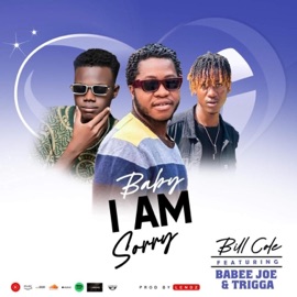 Baby i am Sorry Bill Cole