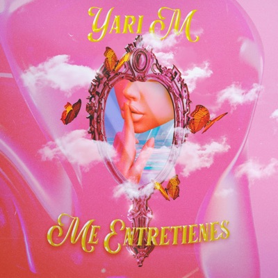 Me Entretienes - Single
