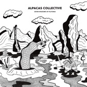 Alpacas Collective - Tilahun