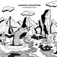 Flugzeug String Machine — Alpacas Collective