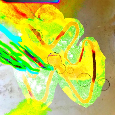 Tri Color Quinoa - EP