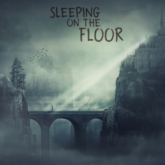 Cover artwork for sleeping on the floor