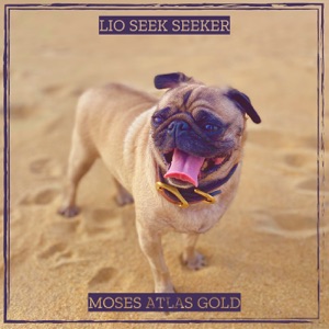 Lio Seek Seeker