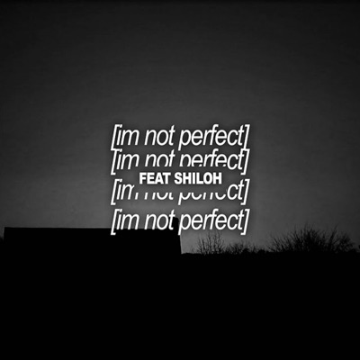 I'm Not Perfect - Single