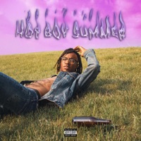 Hot Boy Summer - Single - ISIAN