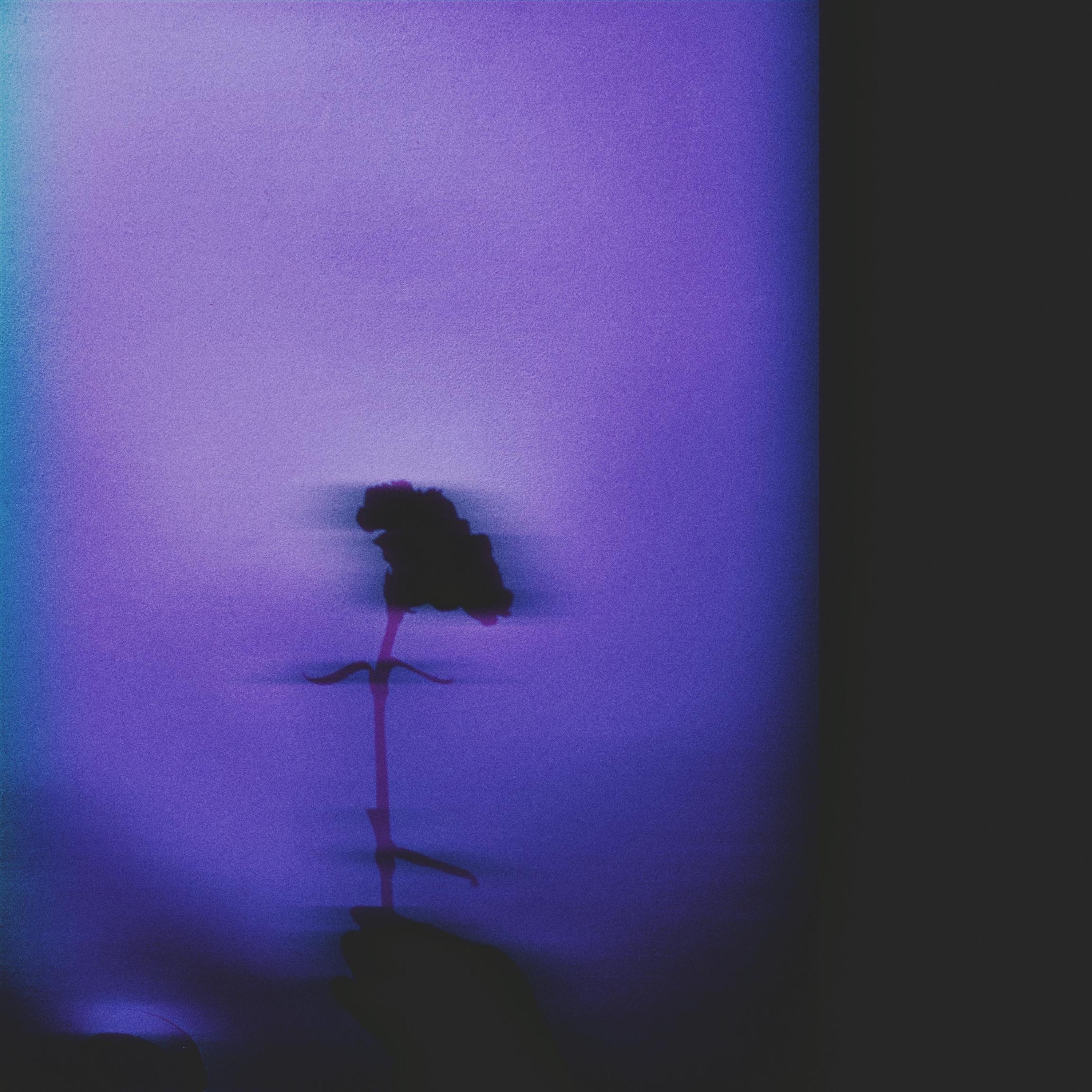 Till the End - Single