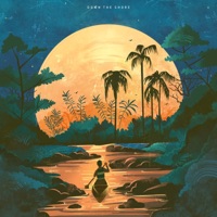 Down The Shore - Single - Moderator & Etherealplcs