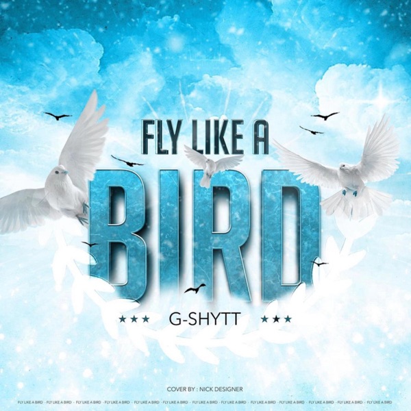 Fly Like a Bird