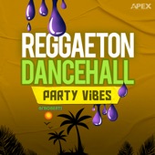 Reggaeton Dancehall Party Vibes artwork