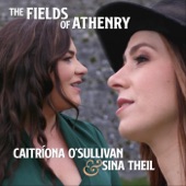 The Fields of Athenry artwork