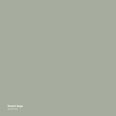 Desert Sage - Single