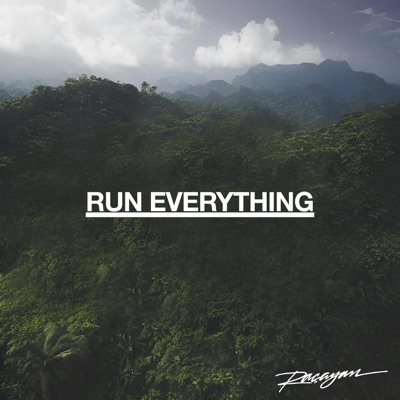 Run Everything - Single