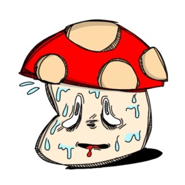 Toad Recovering From an Opioid Addiction Salladman